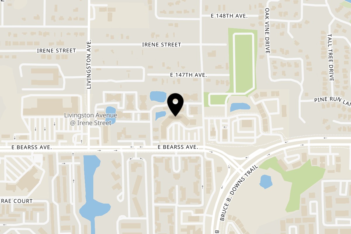 Map showing the location of Baba Dough Pizza bar on 2824 E Bearss Ave in Tampa